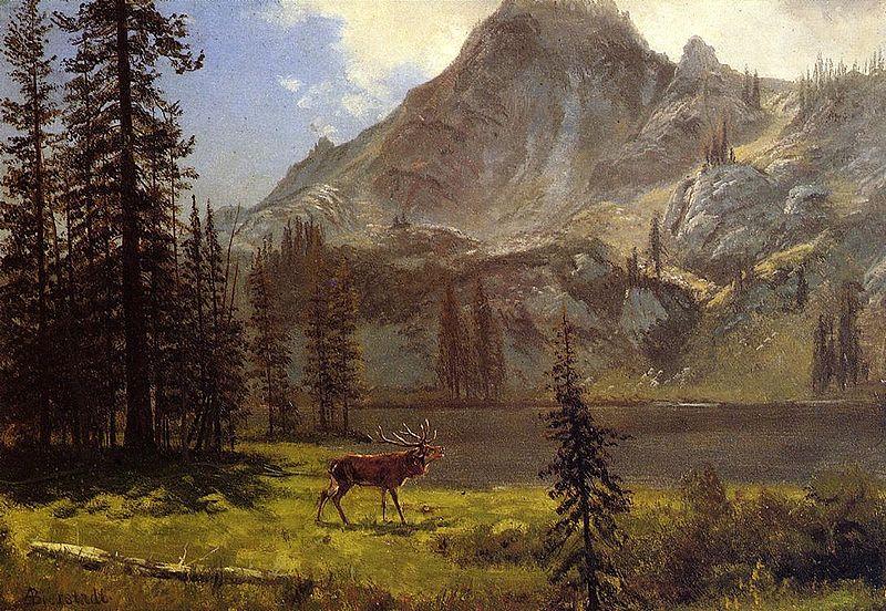 Albert Bierstadt Albert Bierstadt Call Of The Wild Norge oil painting art